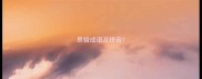 易错成语及拼音