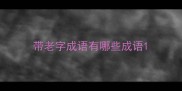 带老字成语有哪些成语