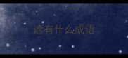 遮有什么成语