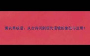 薰衣草成语从古诗词到现代语境的象征与运用