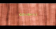 成语大雁什么