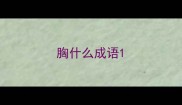 胸什么成语