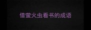 借萤火虫看书的成语