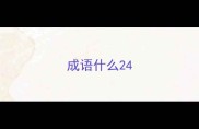 成语什么24
