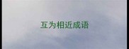 互为相近成语