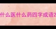 什么医什么药四字成语