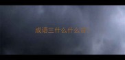 成语三什么什么言