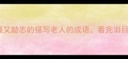 10个温暖又励志的描写老人的成语看完泪目了