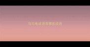 马与电成语有哪些成语