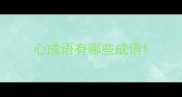 心成语有哪些成语