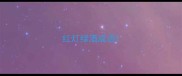 红灯绿酒成语