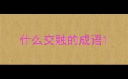 什么交融的成语