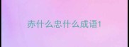 赤什么忠什么成语