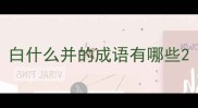 白什么并的成语有哪些