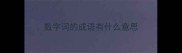 数字词的成语有什么意思