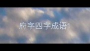 府字四字成语