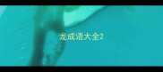 龙成语大全