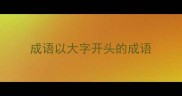 成语以大字开头的成语