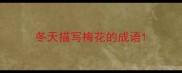 冬天描写梅花的成语