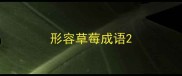 形容草莓成语