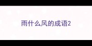 雨什么风的成语