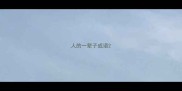 人的一辈子成语