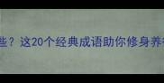 廉洁成语有哪些这20个经典成语助你修身养德附详细