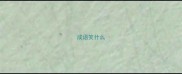 成语笑什么