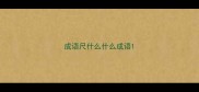 成语尺什么什么成语
