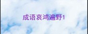 成语哀鸿遍野