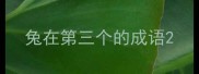 兔在第三个的成语