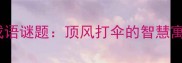 小和尚打伞的成语谜题顶风打伞的智慧寓意与趣味延伸
