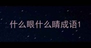 什么眼什么睛成语
