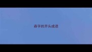 森字的开头成语