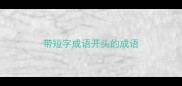 带短字成语开头的成语