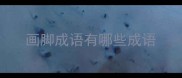 画脚成语有哪些成语