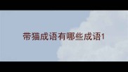 带猫成语有哪些成语