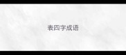 表四字成语