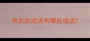 带武的成语有哪些成语