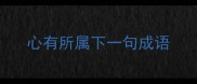 心有所属下一句成语