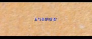 丑与美的成语