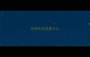 动物的成语是什么