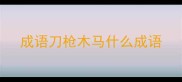 成语刀枪木马什么成语