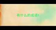 有什么的成语