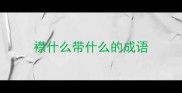 襟什么带什么的成语