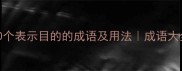 10个表示目的的成语及用法成语大全