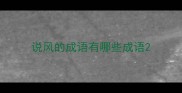 说风的成语有哪些成语