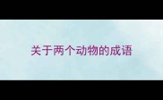 关于两个动物的成语