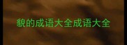 貌的成语大全成语大全