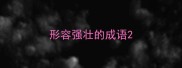 形容强壮的成语
